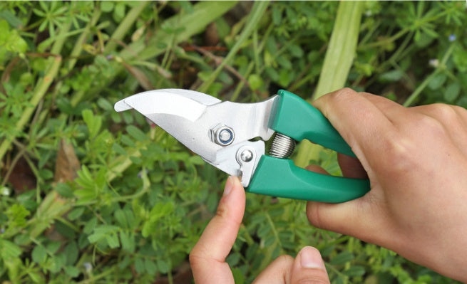 Complete 10-Piece Garden Tool Kit – Durable Tools for Planting & Maintenance